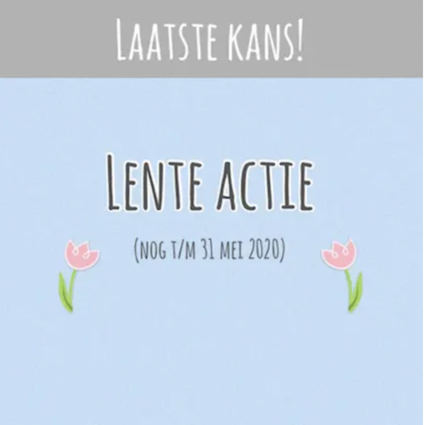 Trap met korting? Profiteer van onze lente actie!