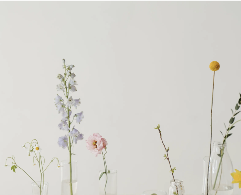 Geef je interieur een frisse look